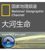 《國家地理紀(jì)錄片》浪劍探險主題曲-《金色彩帶》